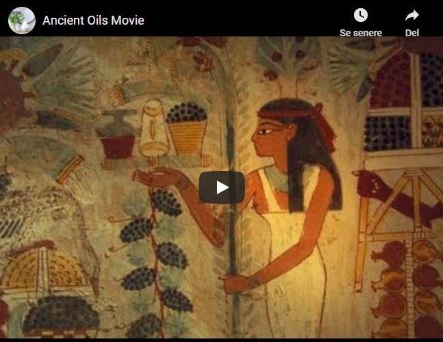 Ancient oils movie om æteriske olier