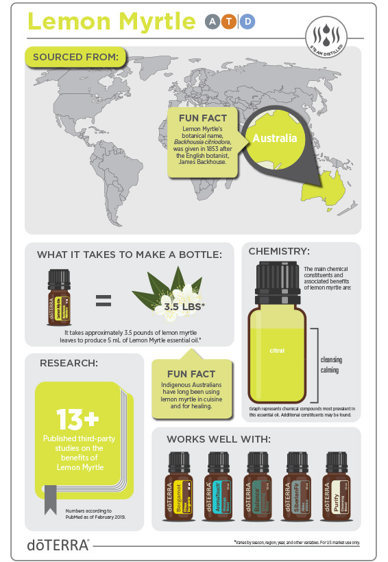 Lemon Myrtle infografik