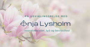 Anja Lysholms Facebook-gruppe